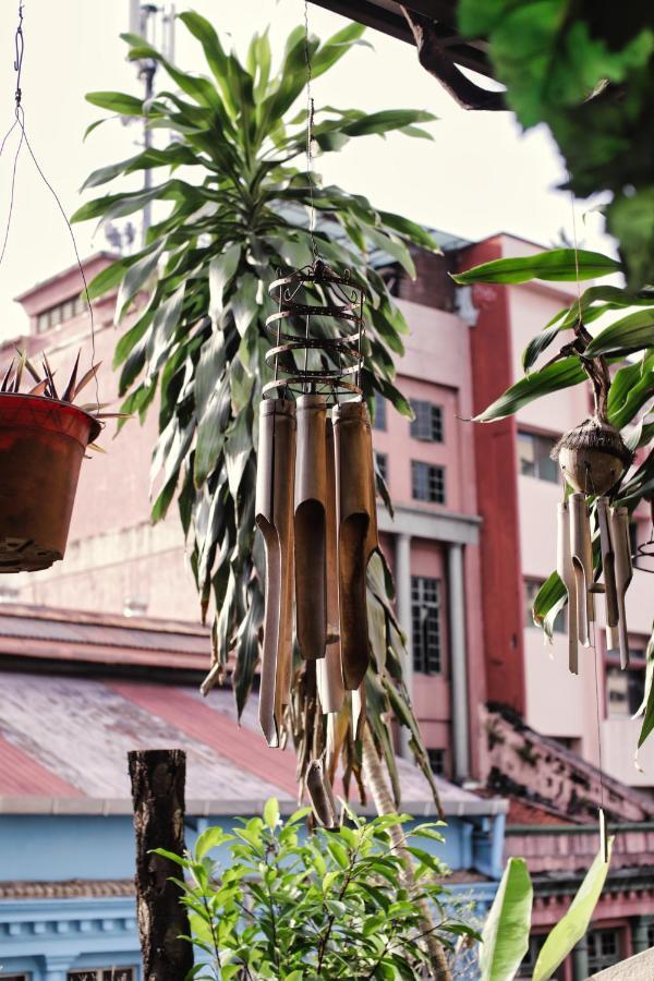 Rain Forest Hotel Kuala Lumpur Dış mekan fotoğraf